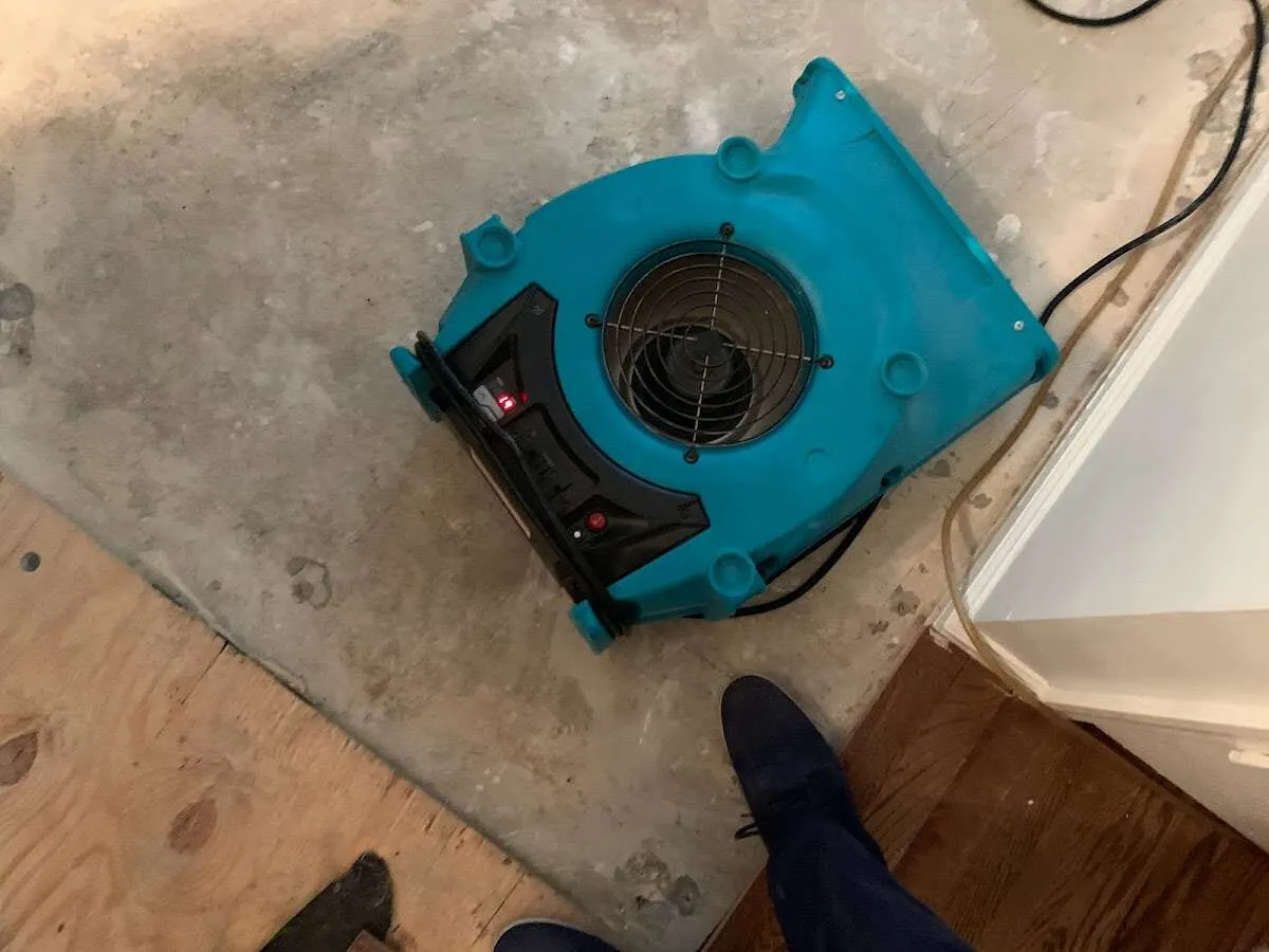 Air mover drying subfloor during Leak Detection & Repair in Beardstown